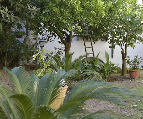 William سورينتو